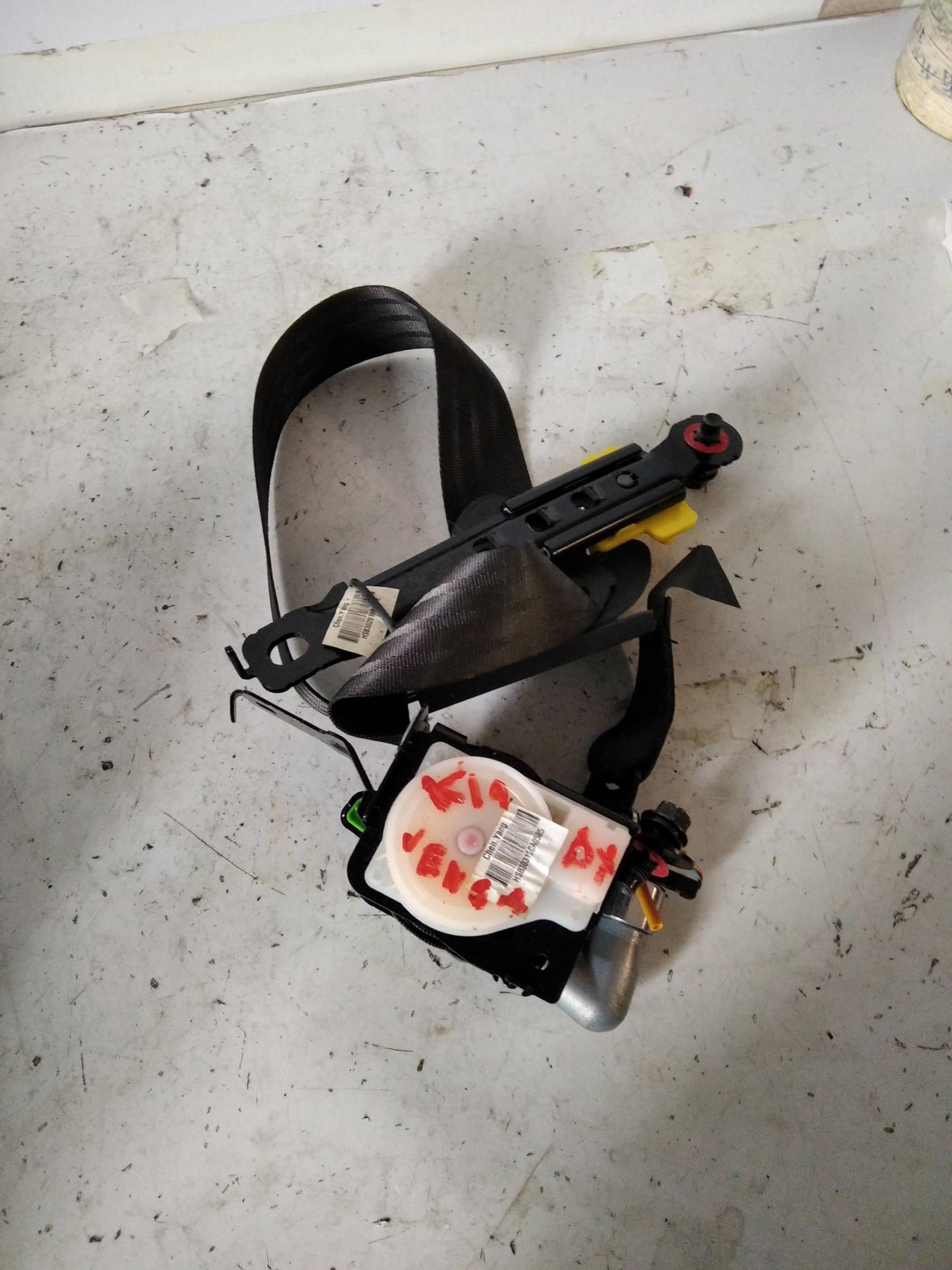 Cintura di sicurezza ant. dx.